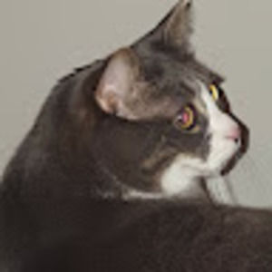 Meet your Posher, Audrey-ann